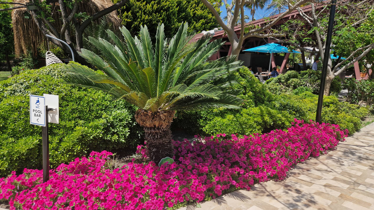 Gartenanlage Concorde De Luxe Resort