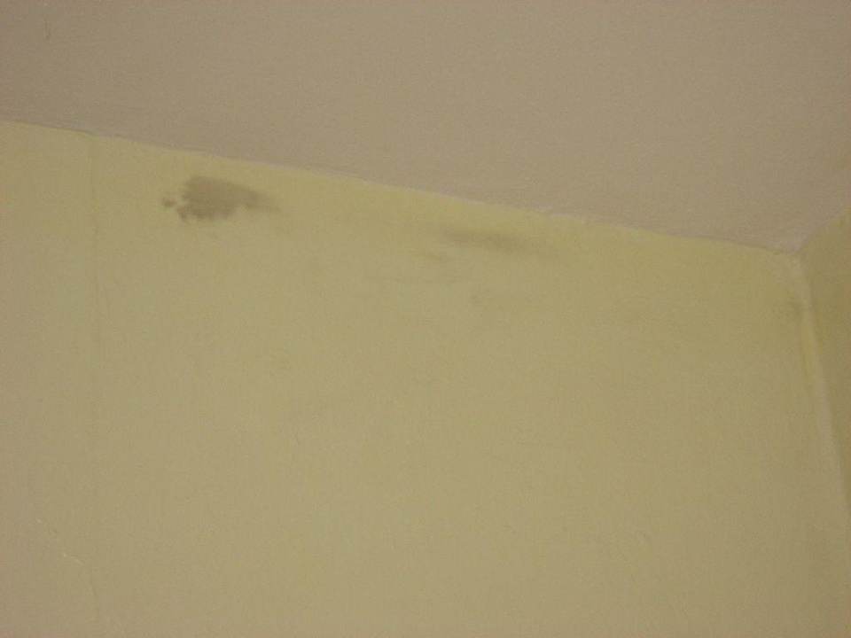 Unsere Junio-Suite im Haus Nr. 11 (unten links) Grand Palladium Select Bávaro Resort & Spa