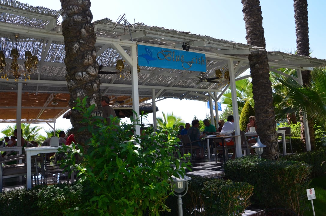 Fischrestaurant Hotel Delphin Diva