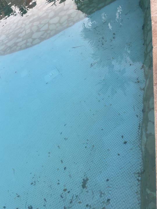 Pool Makadi Palace