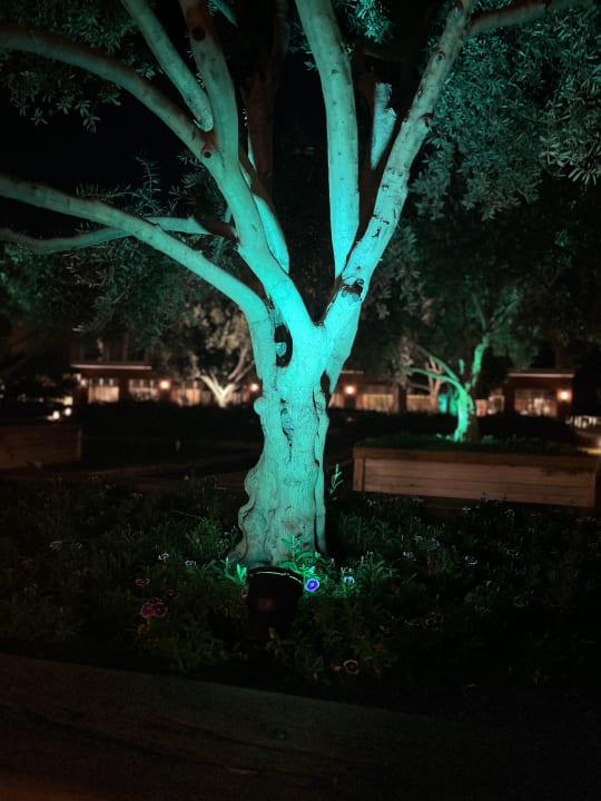 Gartenanlage Sentido Trendy Verbena Beach