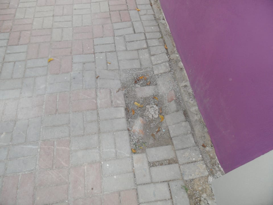 Weg vom Haupthaus zu den Nebengebäuden Club Hotel Anjeliq