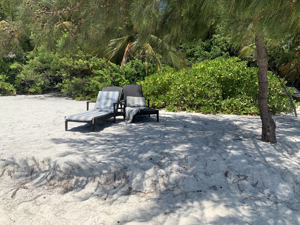 Strand Summer Island Maldives