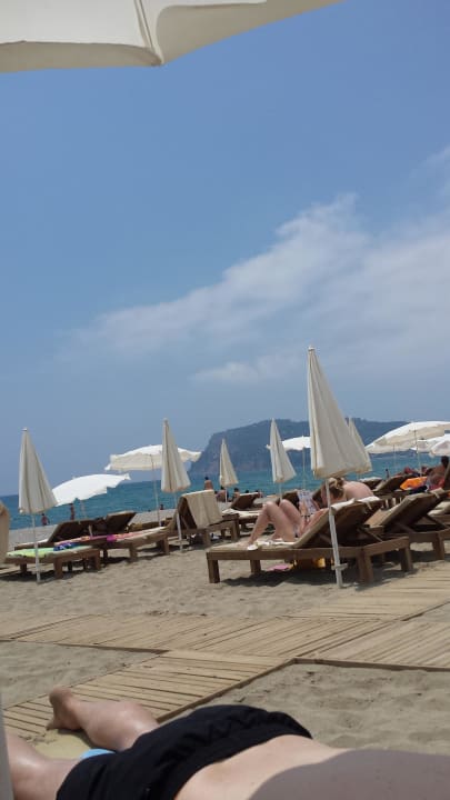 Bild Blue Diamond Alya