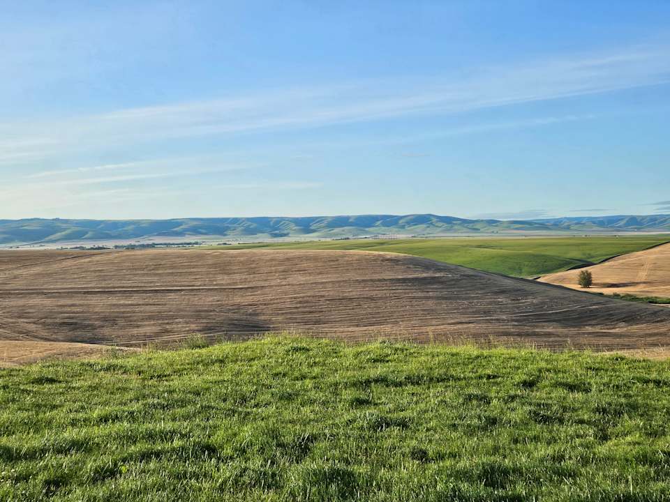 Ausblick Hotel Holiday Inn Express Pendleton