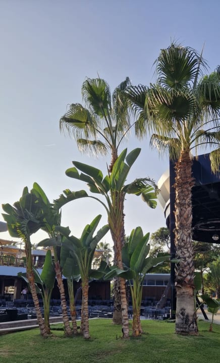 Gartenanlage Papillon Zeugma Relaxury