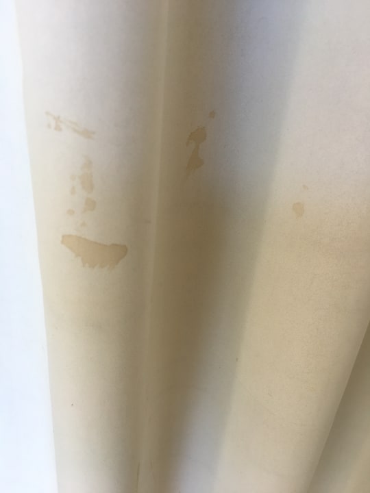 Zimmer Jaz Bluemarine