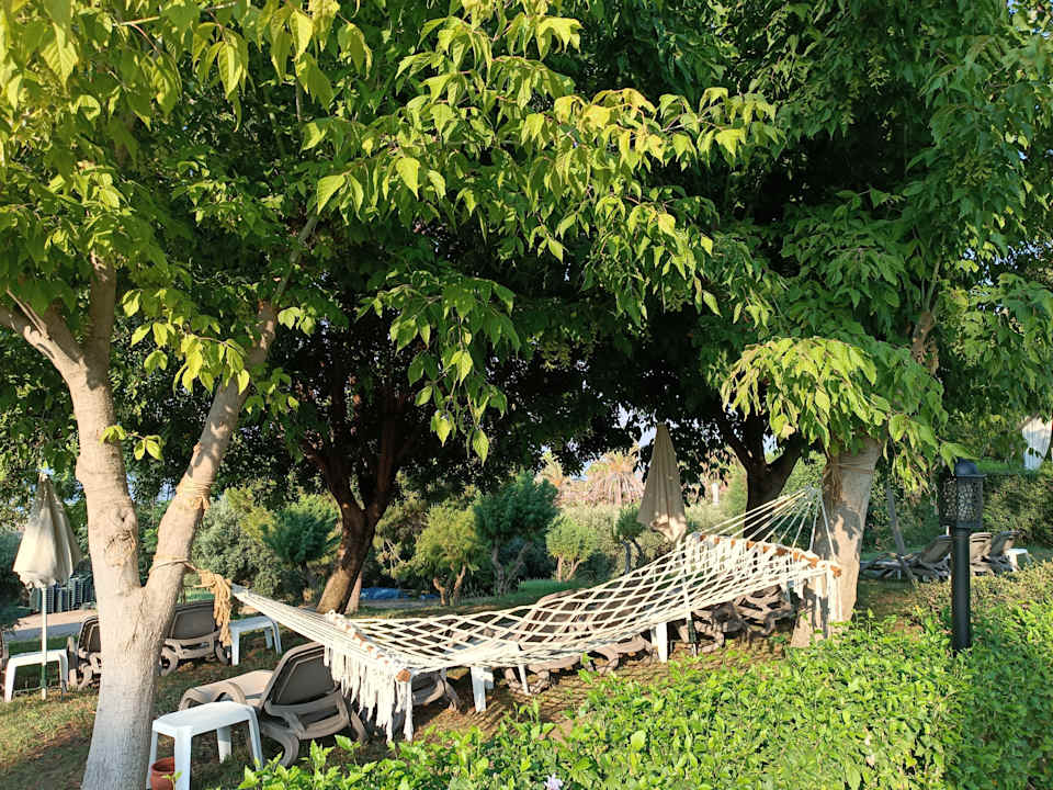 Außenansicht Trendy Aspendos Beach Hotel