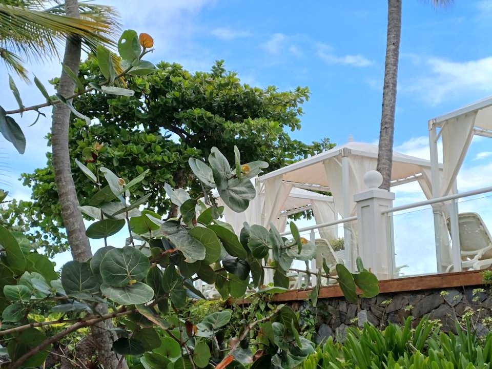 Außenansicht Bahia Principe Grand Samana - Adults Only