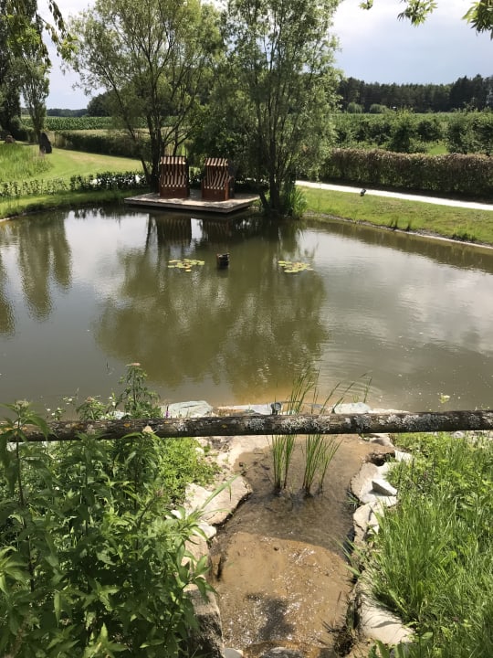 Gartenanlage Hotel & Spa Der Steirerhof Bad Waltersdorf