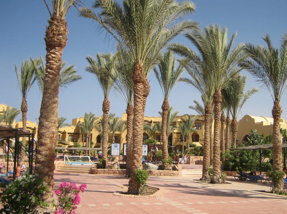 Immer sehr gepflegt Jaz Solaya