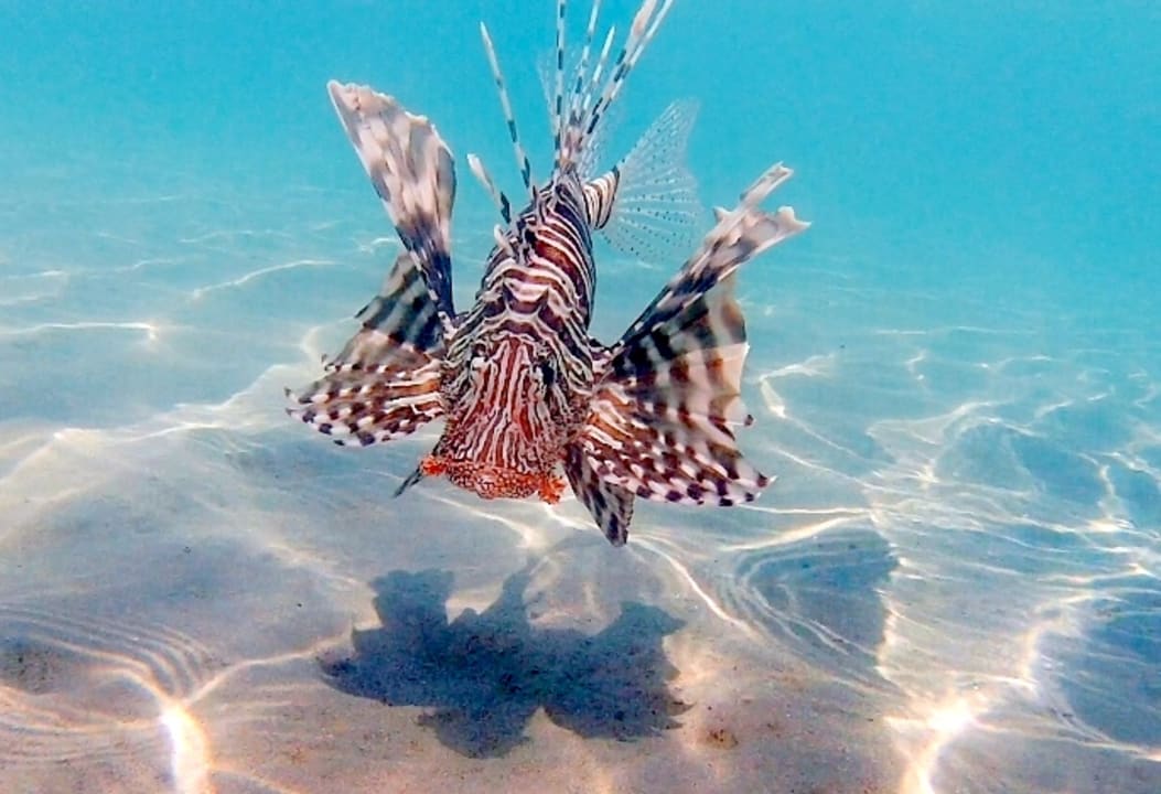 Sport & Freizeit Cleopatra Luxury Resort Makadi Bay