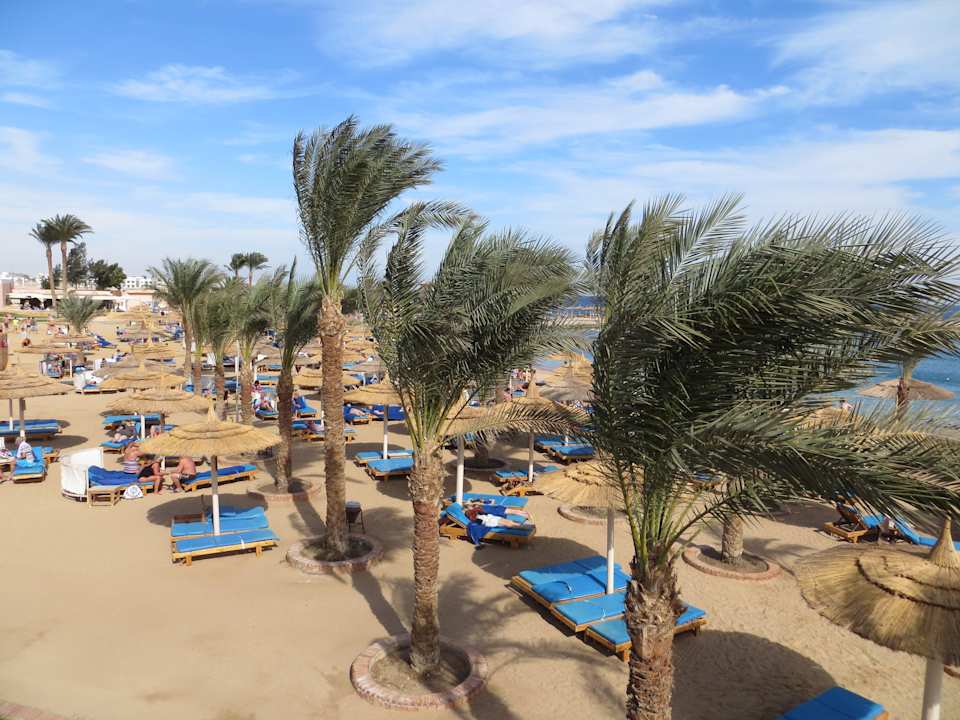 Strandabschnitt Beach Albatros Resort