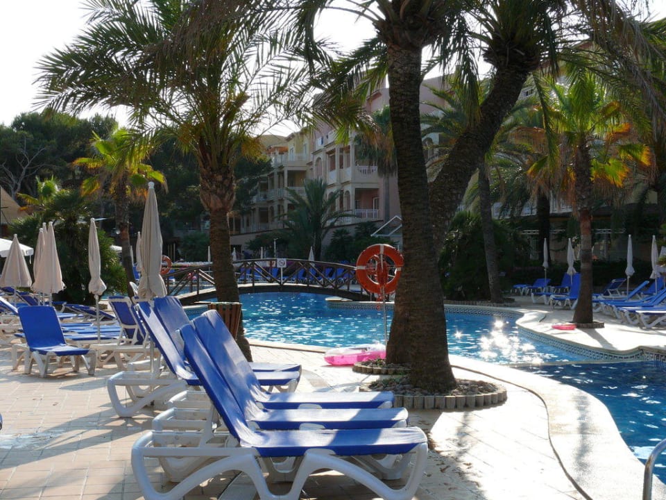 Der Pool am frühen Abend Zafiro Bahia