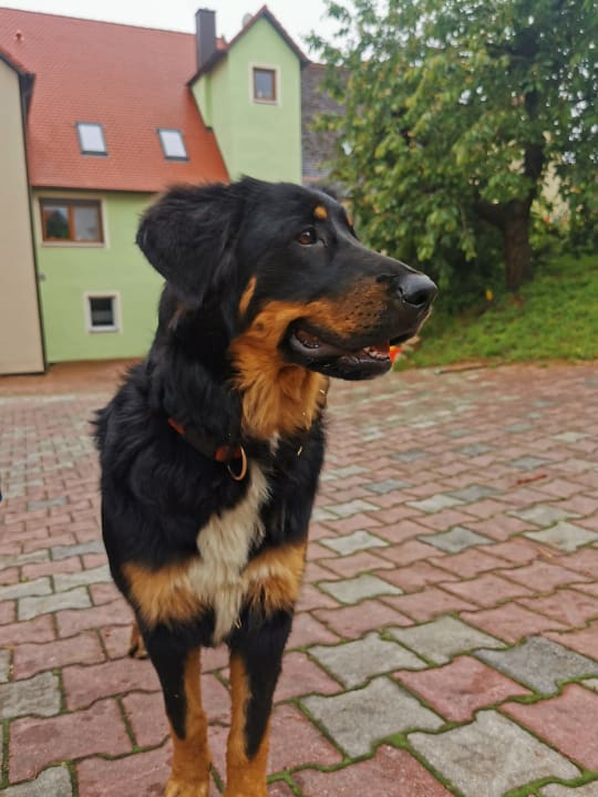 Sonstiges Ferienhof Hausmann