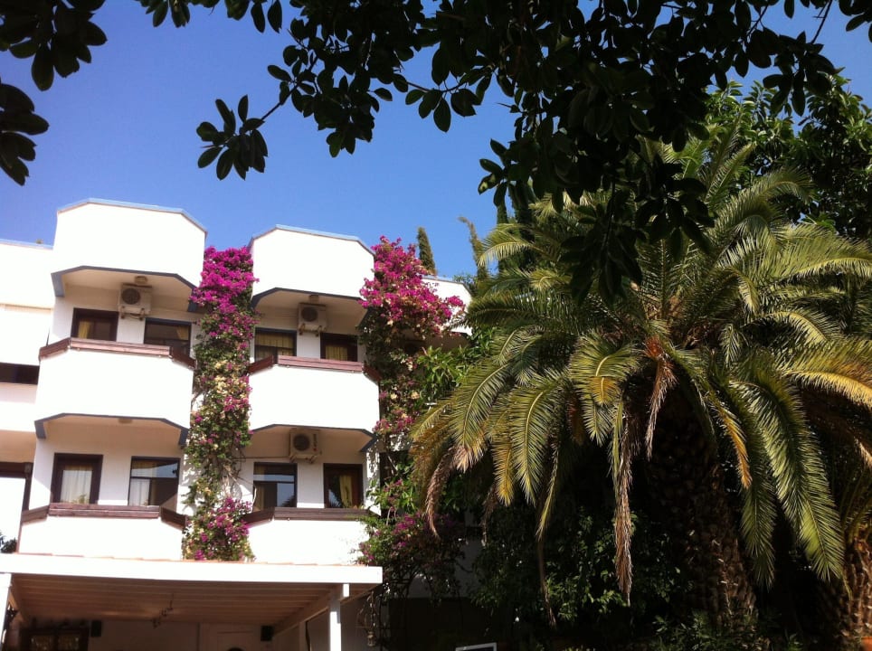 Das Hotel mit tollen Palmen  Hotel Orkinos