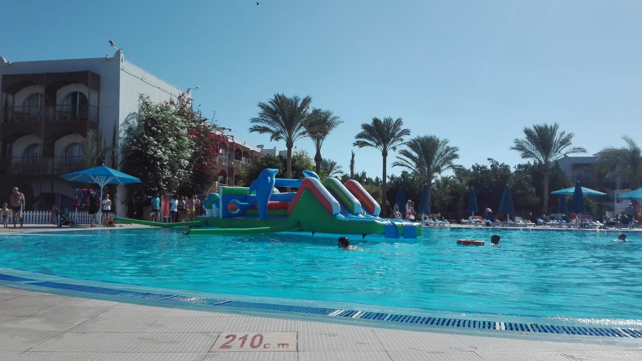 Pool Desert Rose Resort Hurghada • Holidaycheck Hurghada Safaga