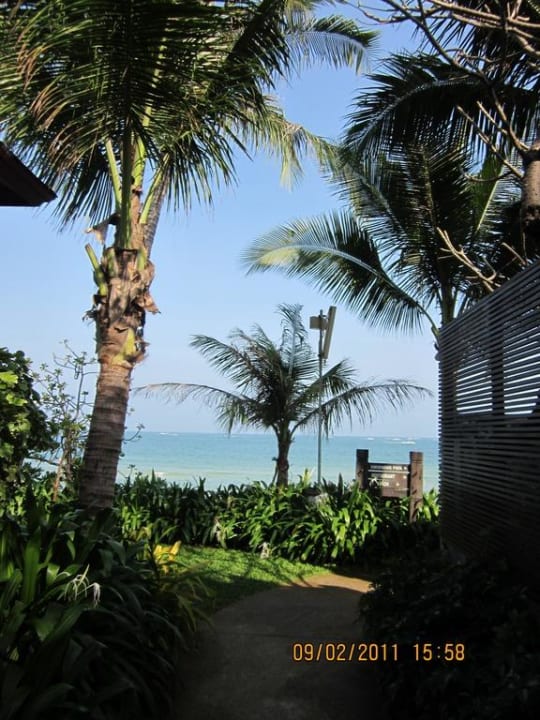 Blick aufs Meer  Banana Fan Sea Resort