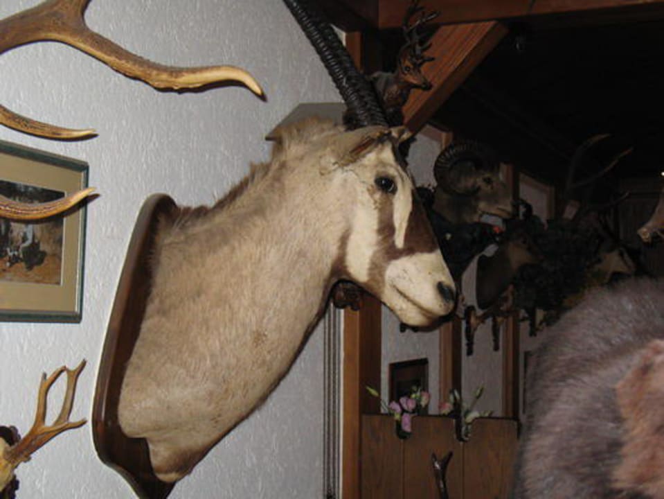 Dekoration in der Gaststube Hotel-Gasthof Jägerstüble