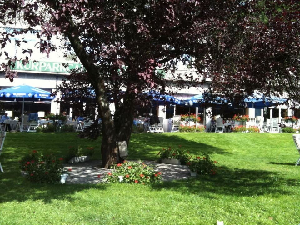 Blick zur Terrasse re.vita - naturresort & spa