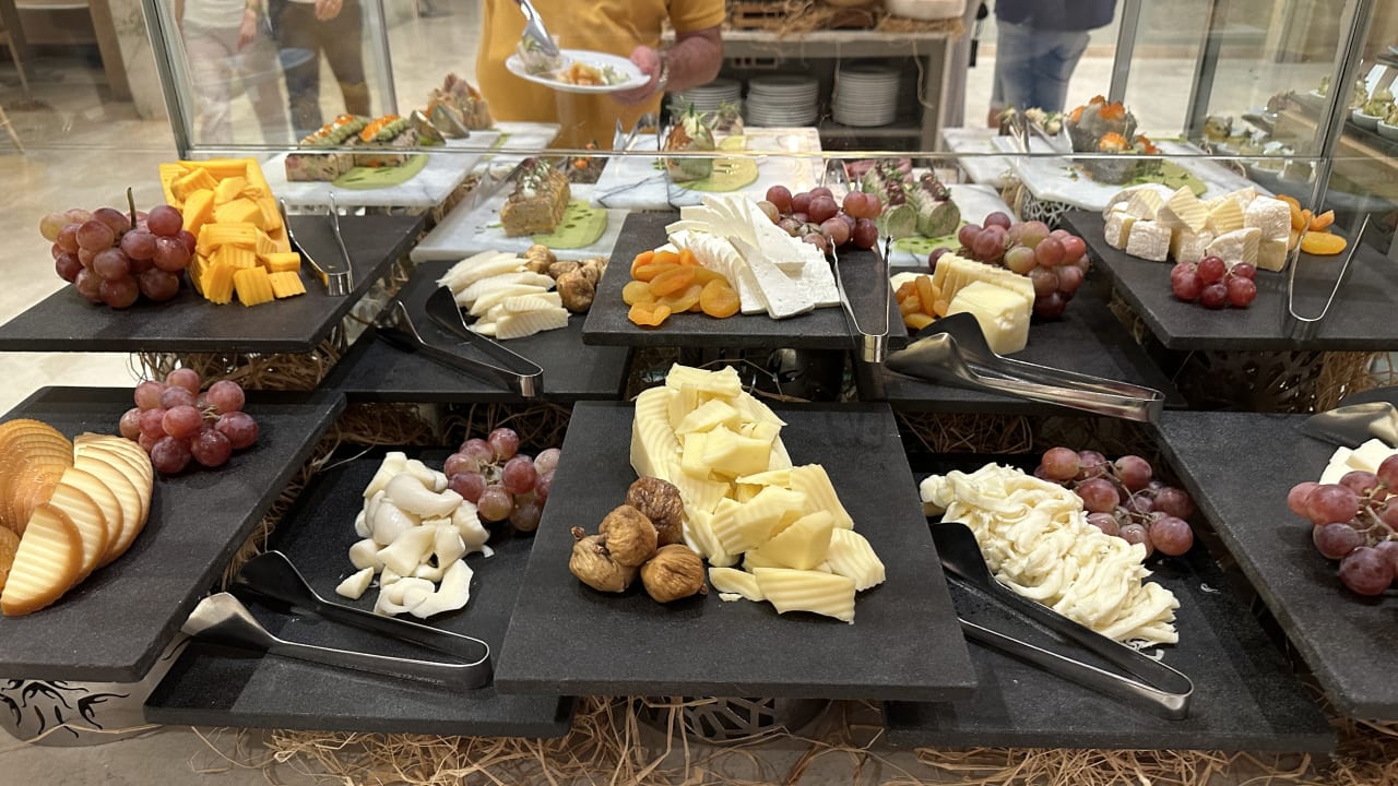 Gastro Acanthus Cennet Barut Collection