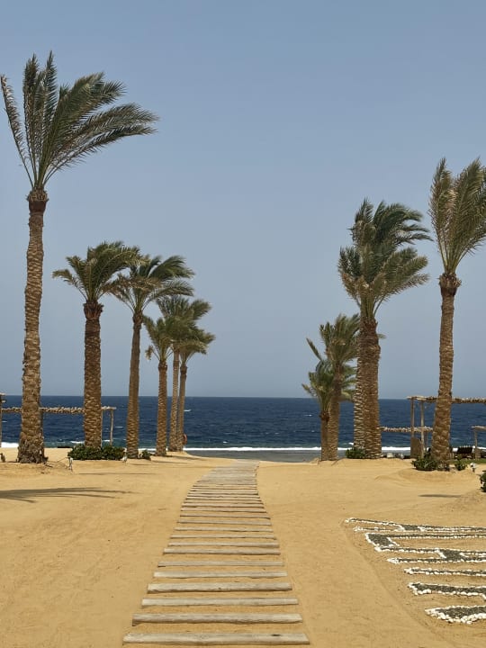 Strand Steigenberger Resort Alaya Marsa Alam - Red Sea - Adults only