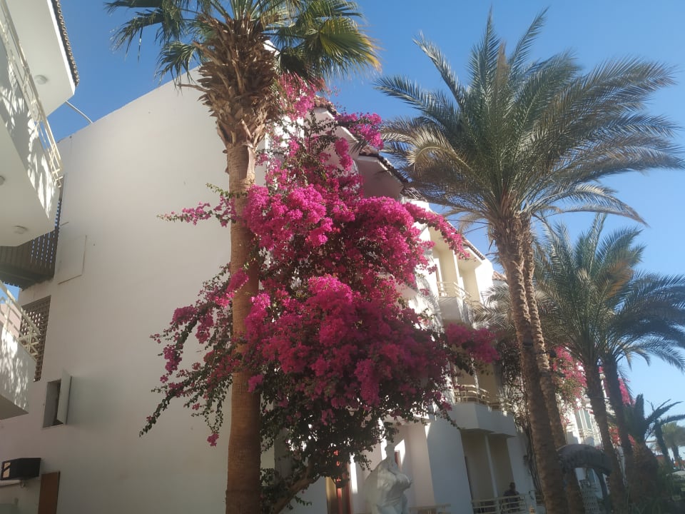 Garten Minamark Beach Resort & Spa