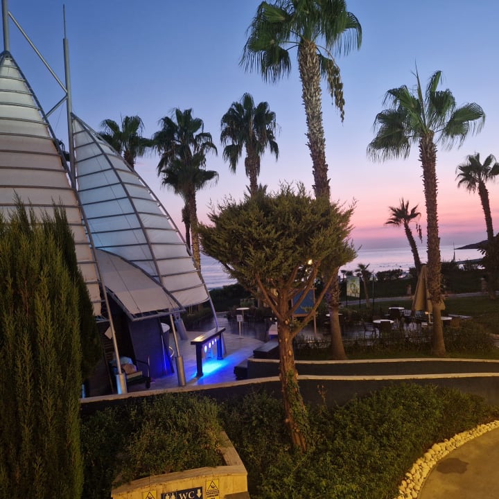 Ausblick AQI Pegasos Royal