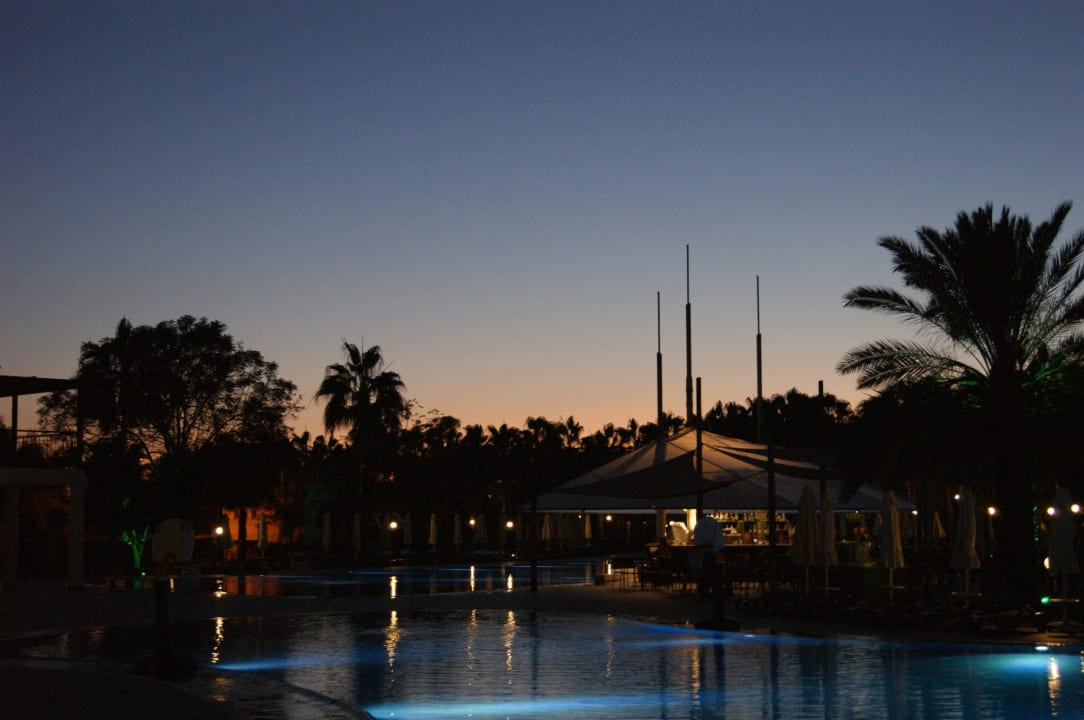 Pool bei Nacht Arum Barut Collection