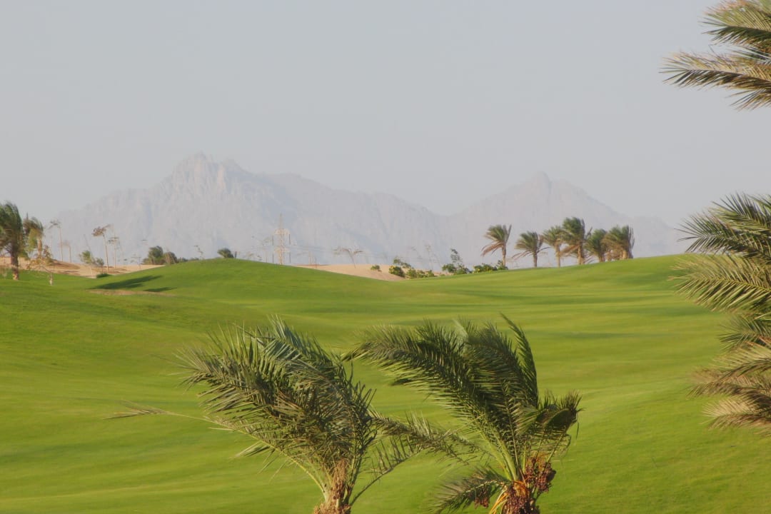 Golf plus Berge Steigenberger Makadi Hotel - Adults only