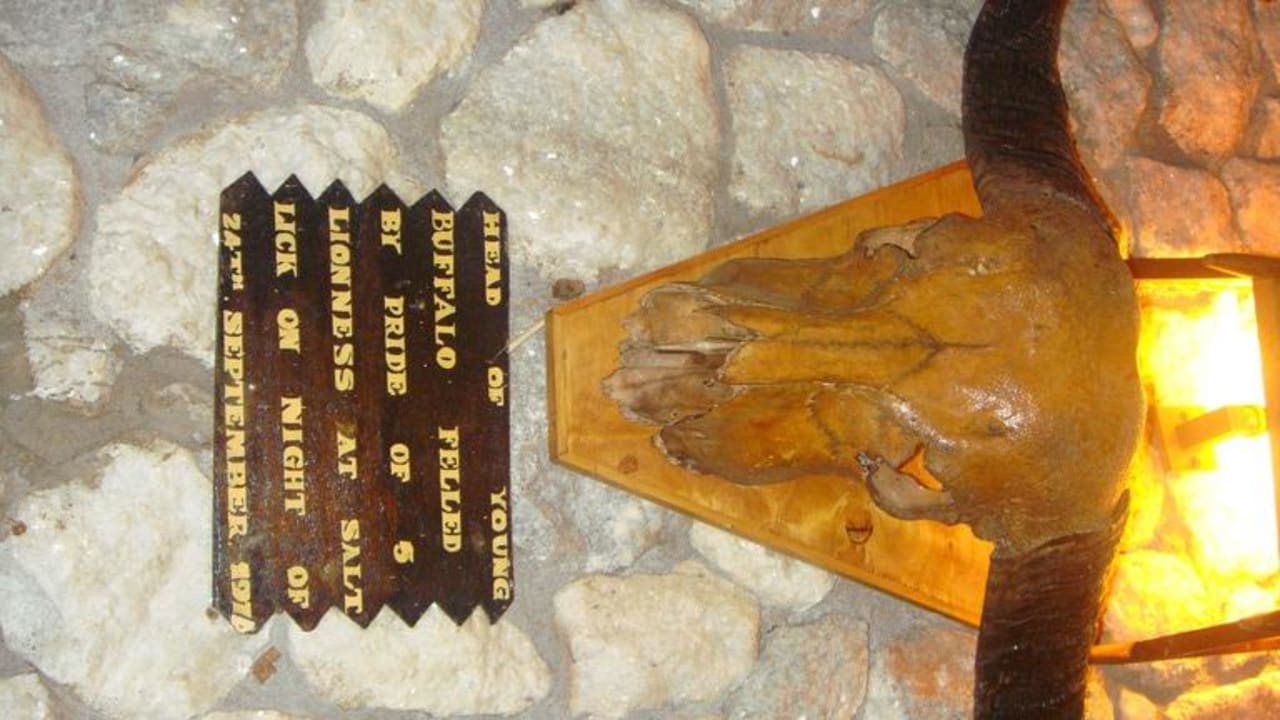 Череп животного Taita Hills Safari Resort & Spa