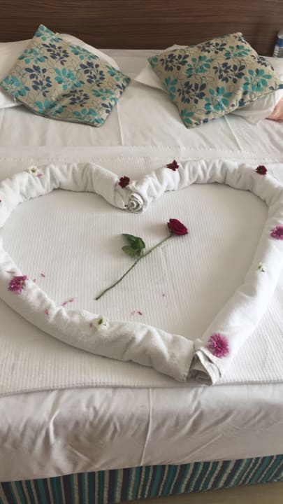 Zimmer Side West Park Hotel