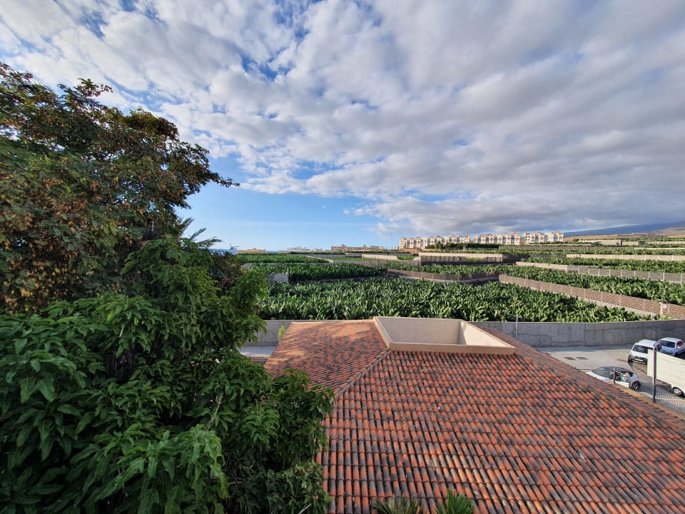 Ausblick Hotel Riu Buenavista