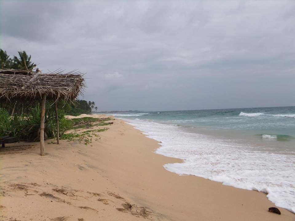 Hotelstrand Hotel Haus am Meer Wilde Ananas