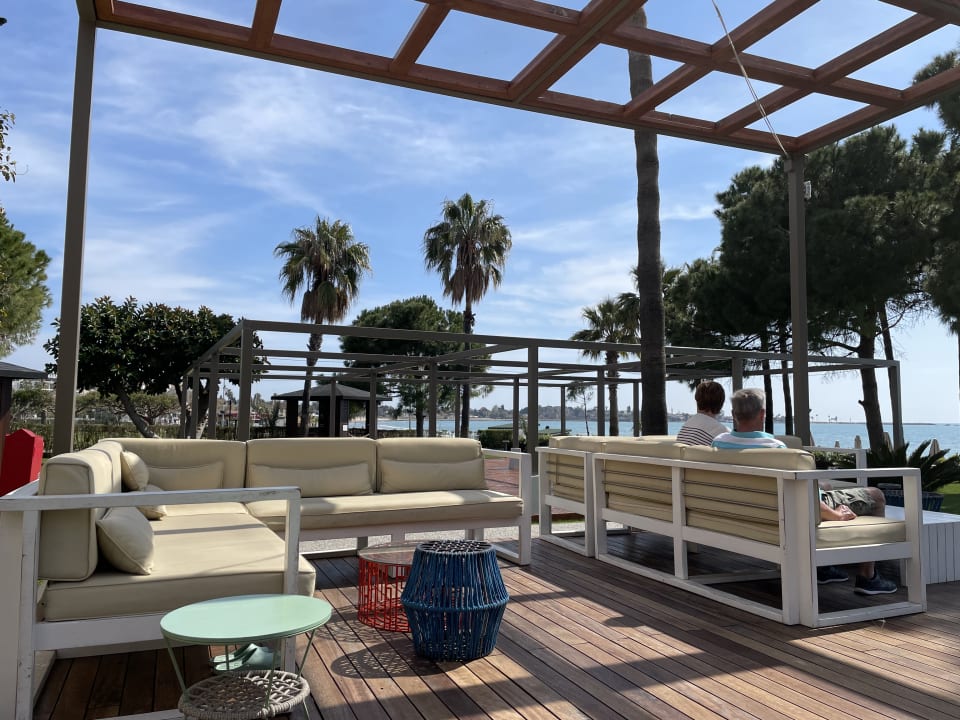 Gastro Acanthus Cennet Barut Collection