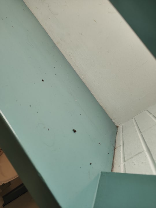 Zimmer Center Parcs Park De Haan