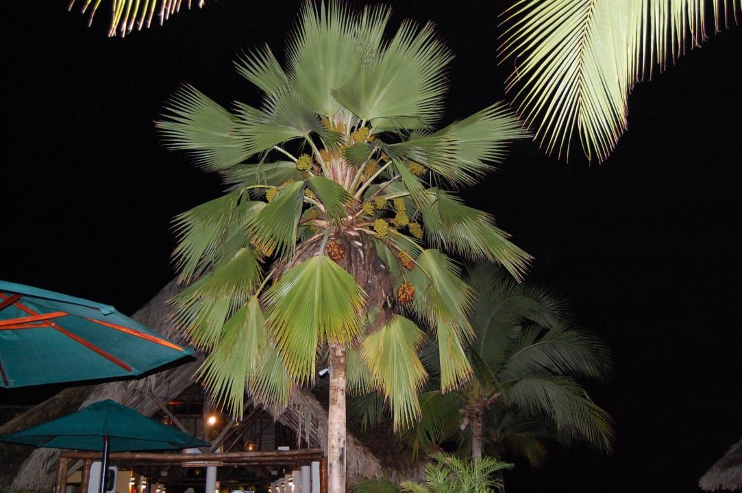 Am Abend Grand Decameron Panama, A Trademark All Inclusive Resort