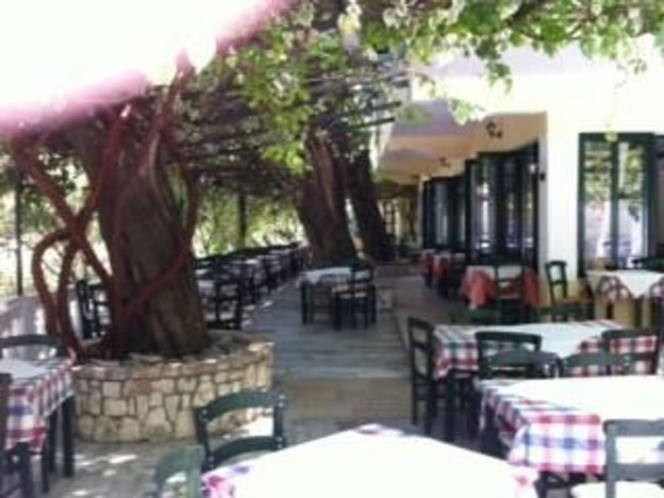 Liapades Beach Hotel Cricket Taverne Hotel & Apartments Liapades Beach