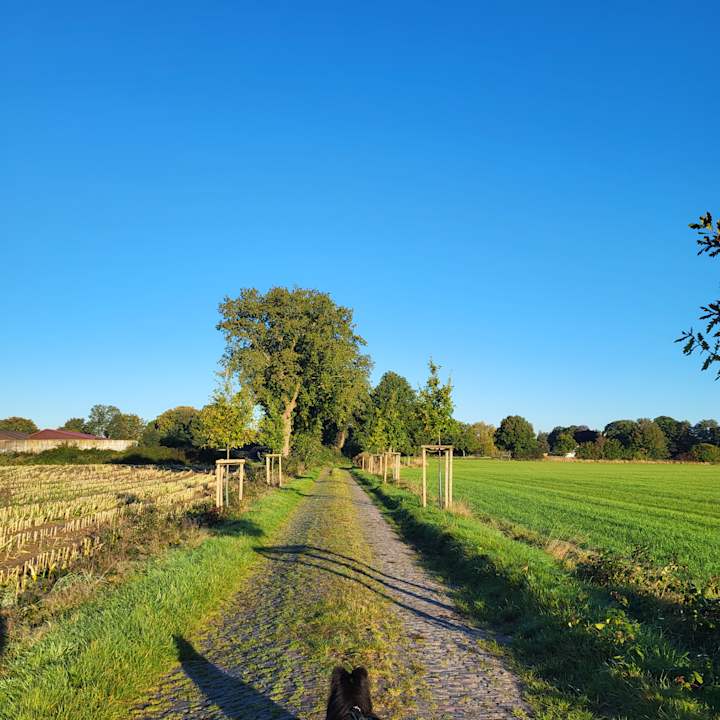 Sonstiges Ferienwohnungen/ Ferienhäuser Bauernhof Onken