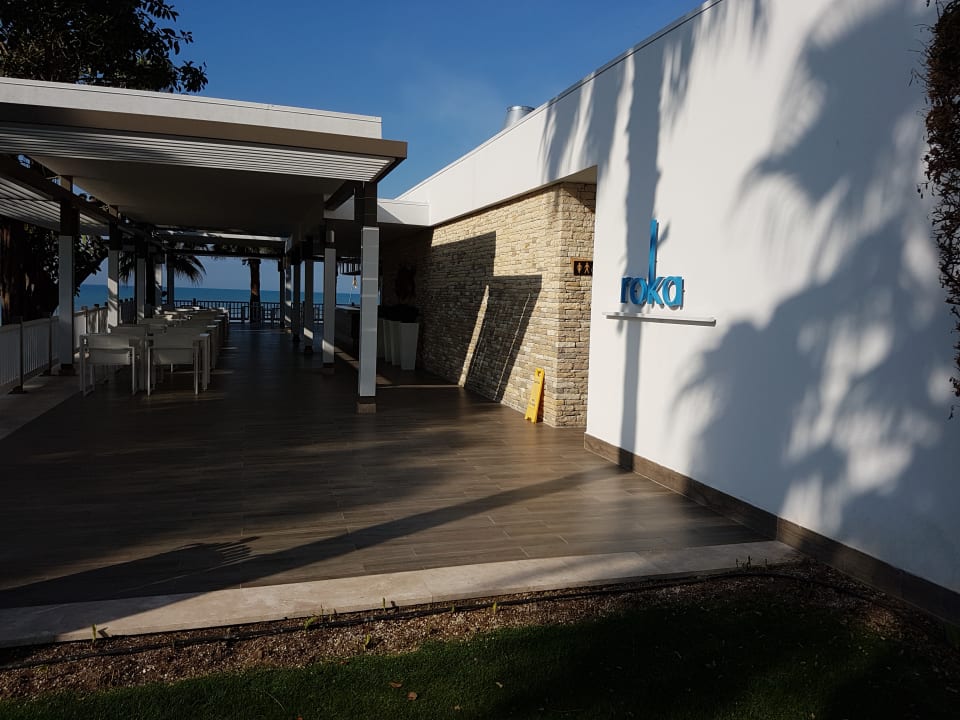 Gastro Acanthus Cennet Barut Collection