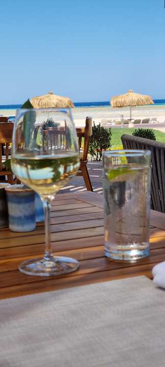 Gastro JAZ Elite Asteria