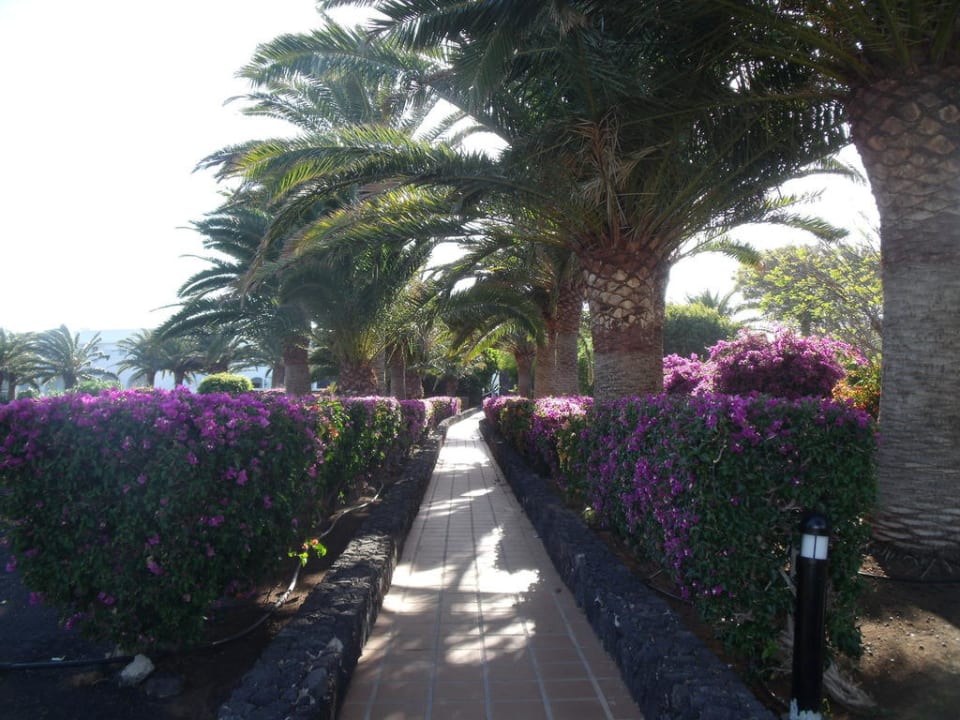 Weg zu den Appartements Relaxia Olivina