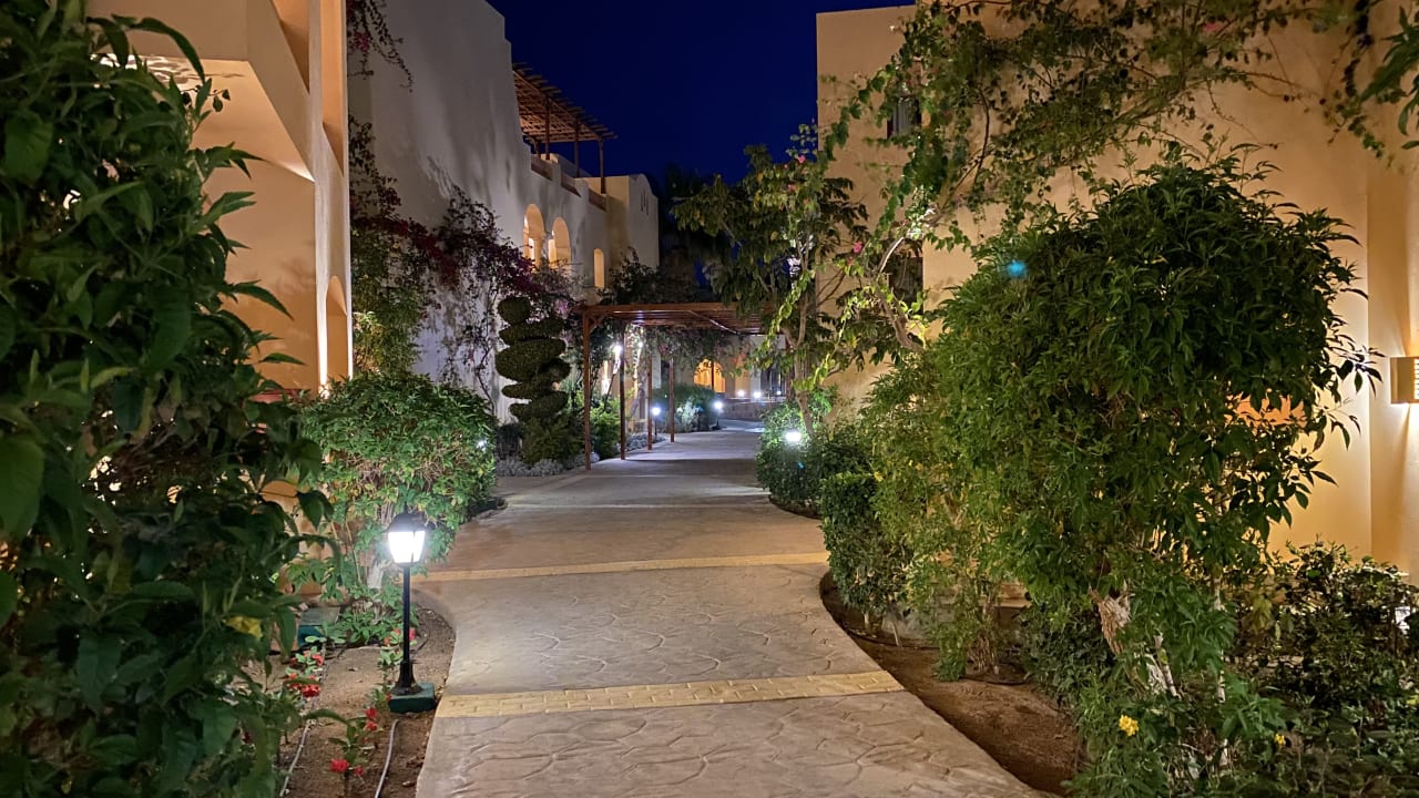 Gartenanlage Steigenberger Coraya Beach - Adults only