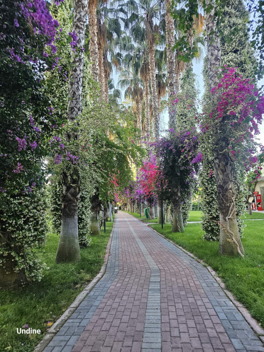 Außenansicht Hotel Gardenia Beach