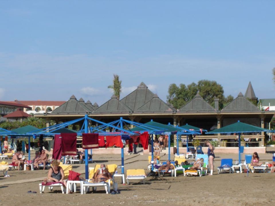 Feiner Sandstrand und die schöne Strandbar Paloma Oceana