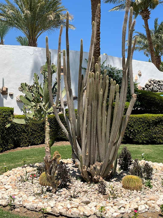 Außenansicht Shams Safaga Resort