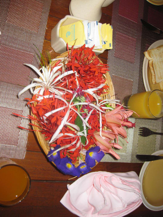 Einfach mal eine nette Kleinigkeit auf dem Tisch Kuramathi Maldives