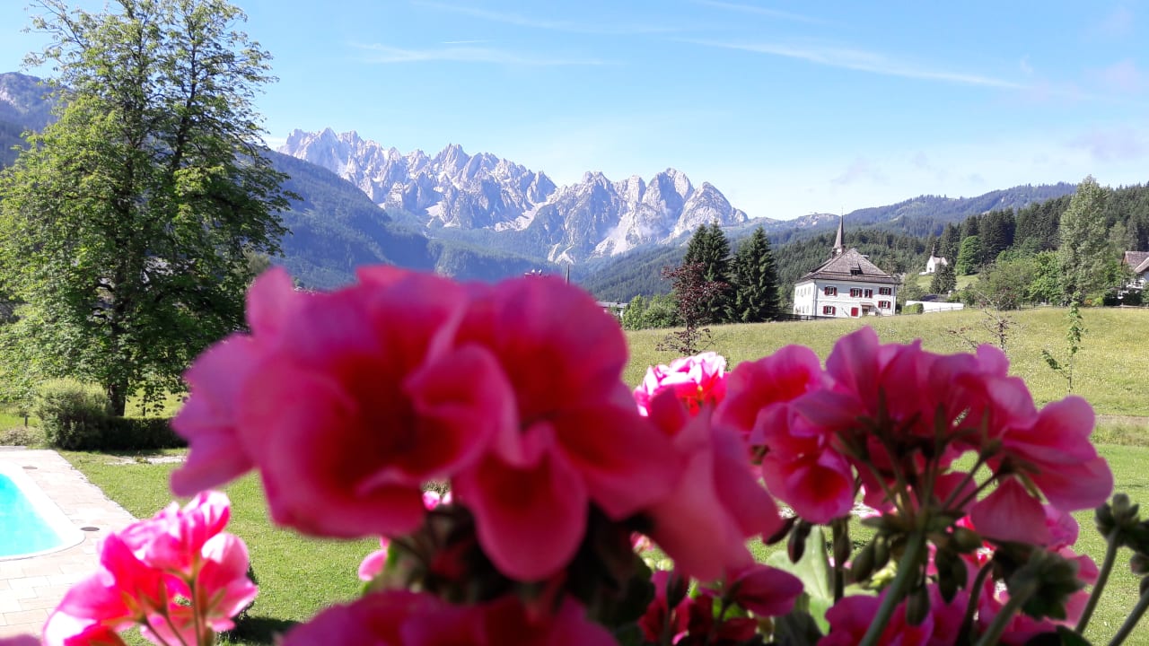 Ausblick Landhaus Koller