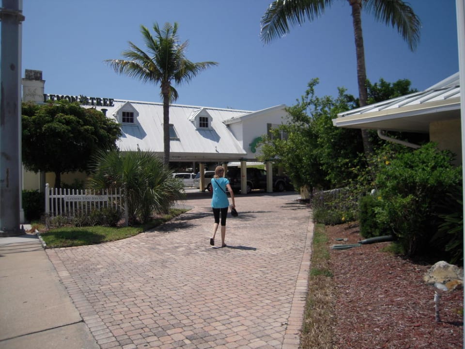Blick auf die Rezeption. Hotel Lemon Tree Inn