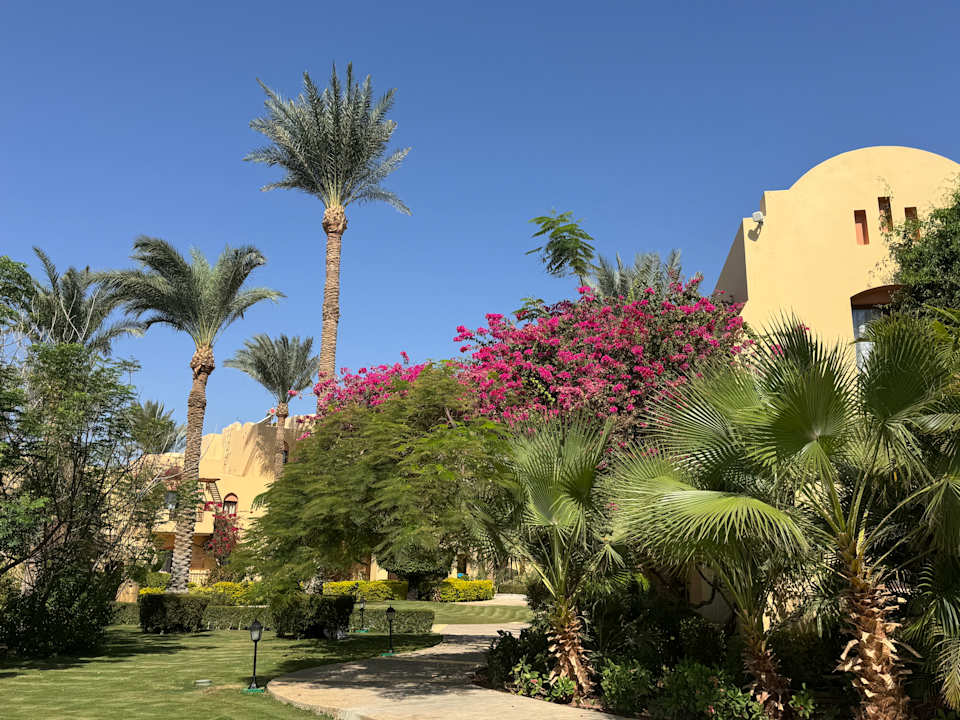 Gartenanlage Steigenberger Coraya Beach - Adults only